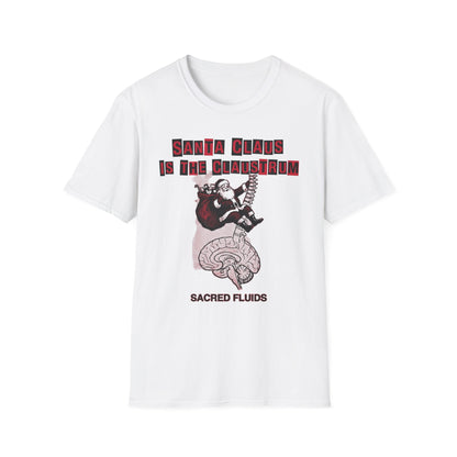 Santa Claus Is The Claustrum T-Shirt — Retro Anatomical Christmas Tee
